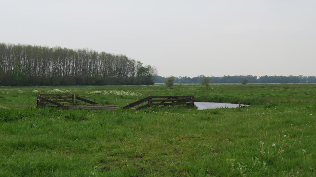 'T Zwanemeer Gieten Exterior foto