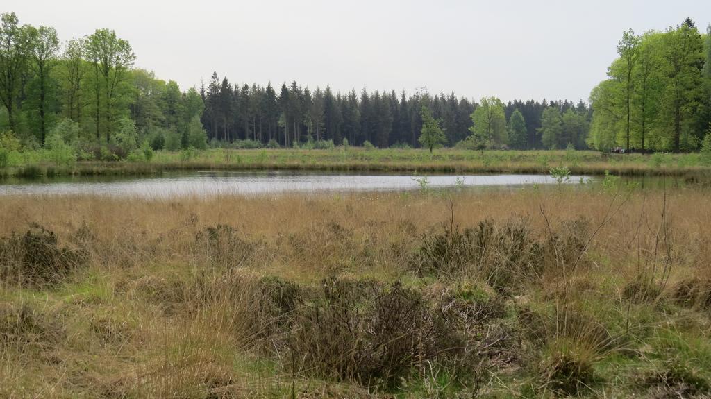 'T Zwanemeer Gieten Exterior foto